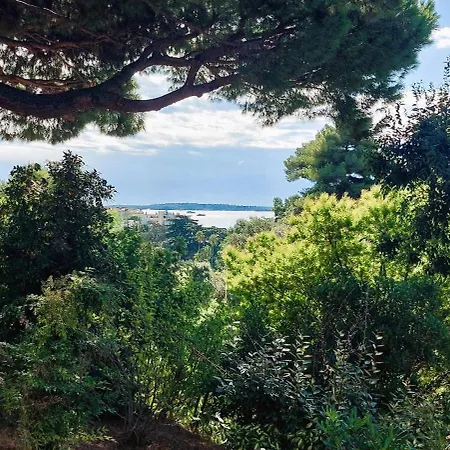 Apartman Les Orangers - - Sea View- Swimming Pool - Free Parking - Cannes
