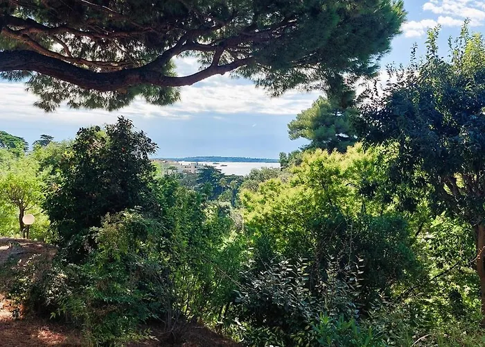 Lejlighed Les Orangers - - Sea View- Swimming Pool - Free Parking - Cannes